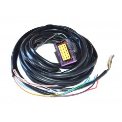BRC BLITZ LPG SYSTEM HARNESS