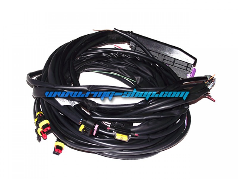 LANDI RENZO LSI-10 HARNESS