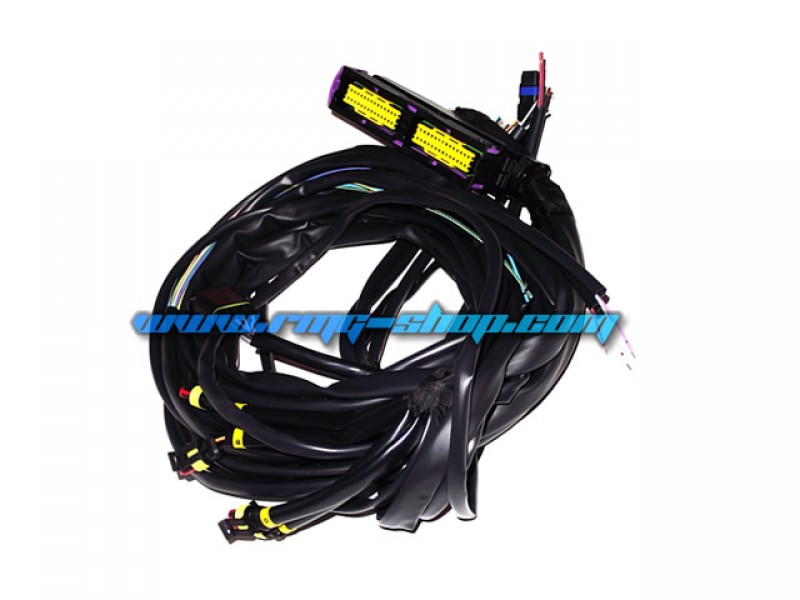 LANDI RENZO LSI-10 HARNESS