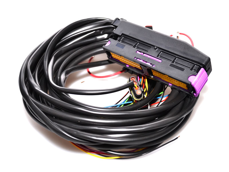 FRATELLI LPG SYSTEM HARNESS - 4 CYLINDERS