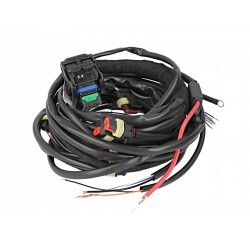 STAG 200 GO FAST HARNESS - 4 CYLINDERS
