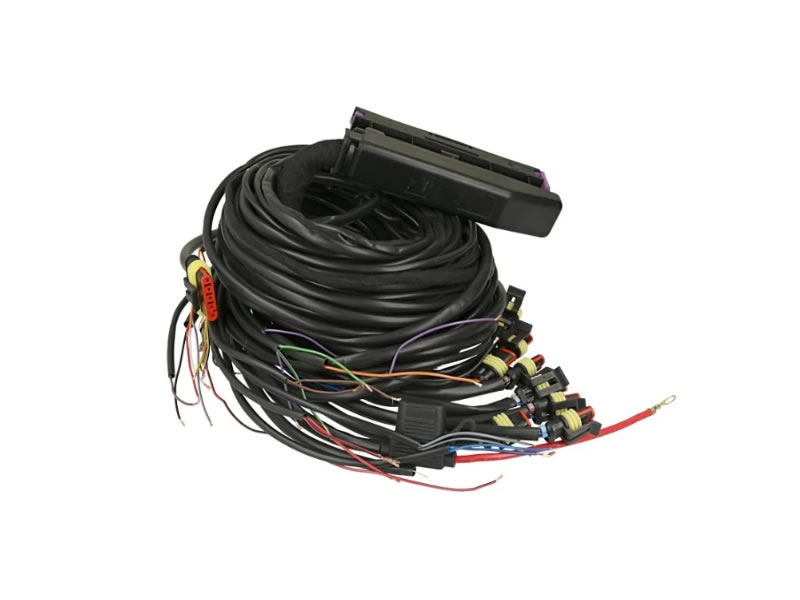 AC Stag STAG 300-8 Q-MAX BASIC Wiring Harness W2L-2108-V