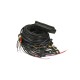 AC Stag STAG 300-8 Q-MAX BASIC Wiring Harness W2L-2108-V
