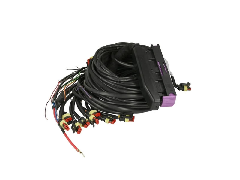 AC Stag STAG 300-8 Q-MAX BASIC Wiring Harness W2L-2108-V