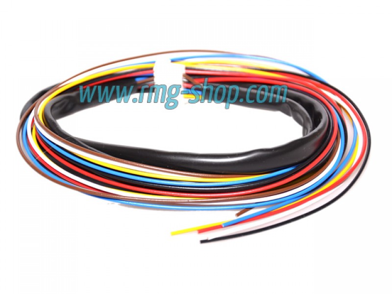 TAMONA PG-3 CARBURETOR/INJECTION SWITCH