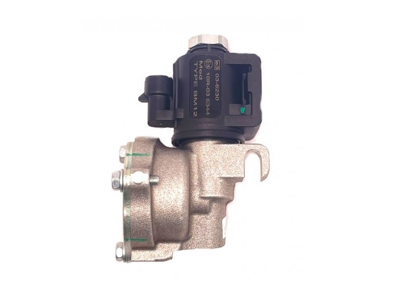 LANDI RENZO SOLENOID VALVE TYPE 21.60 FOR LI18 REDUCER - 8X8 MM (WITH PLUG) 149304749R, 149223699R