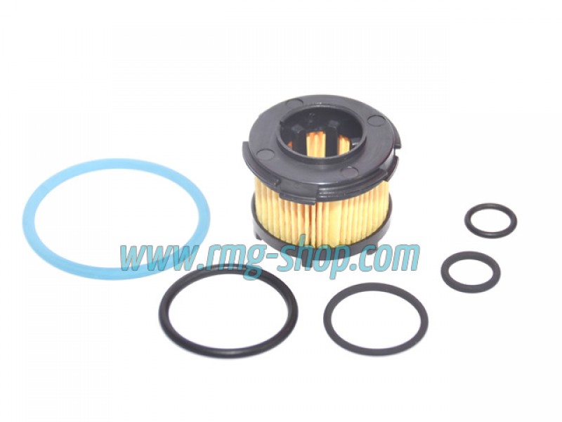 OVERHAULING KIT FOR BRC (NEW MODEL) - GENUINE 169192173R