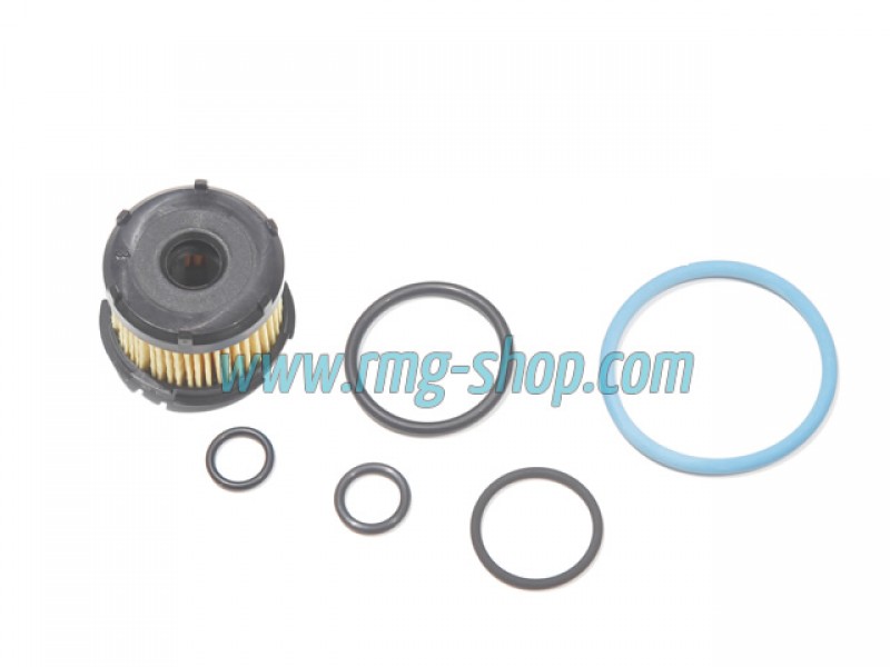 OVERHAULING KIT FOR BRC (NEW MODEL) - GENUINE 169192173R