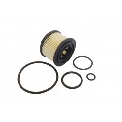 OVERHAULING KIT FOR BRC (OLD MODEL)