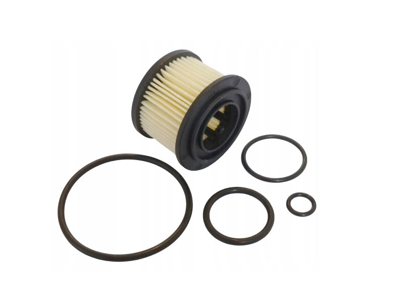 OVERHAULING KIT FOR BRC (OLD MODEL)