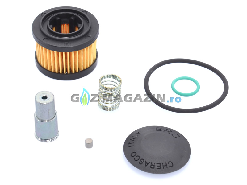 COMPLETE OVERHAULING KIT FOR BRC (OLD MODEL) - GENUINE