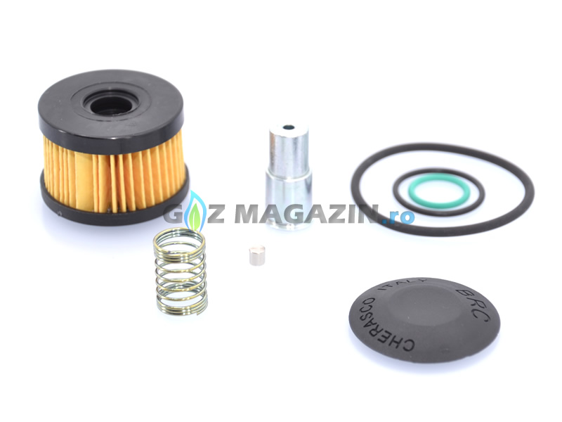 COMPLETE OVERHAULING KIT FOR BRC (OLD MODEL) - GENUINE