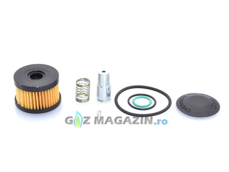 COMPLETE OVERHAULING KIT FOR BRC (OLD MODEL) - GENUINE