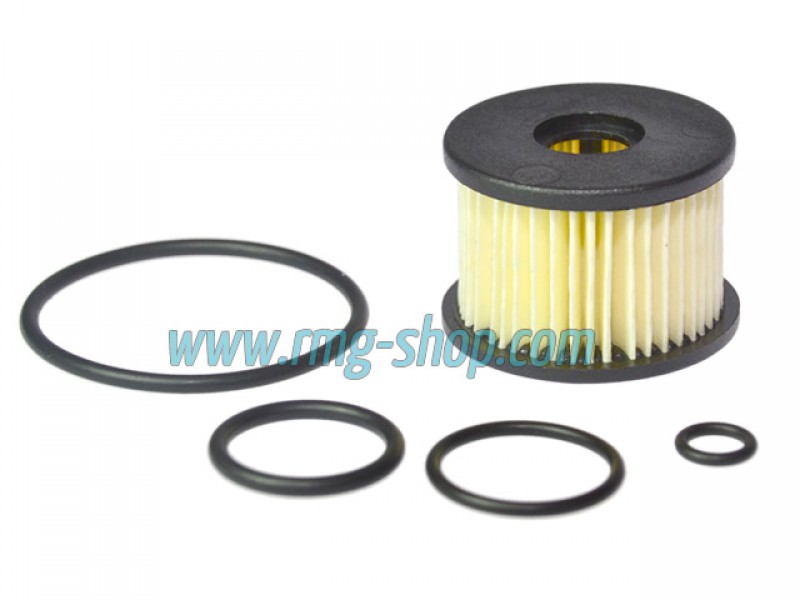 OVERHAULING KIT FOR BRC (OLD MODEL)