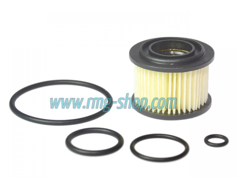 OVERHAULING KIT FOR BRC (OLD MODEL)