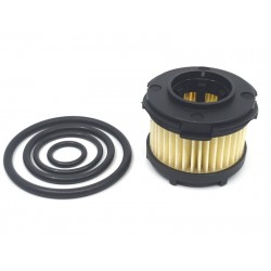 OVERHAULING KIT FOR BRC (NEW MODEL)