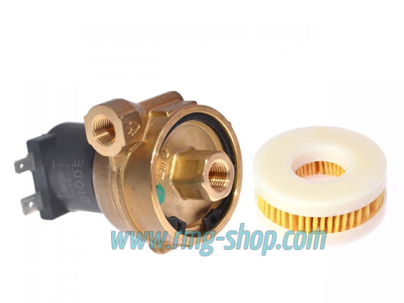 LANDI RENZO SOLENOID FILTER O-RING