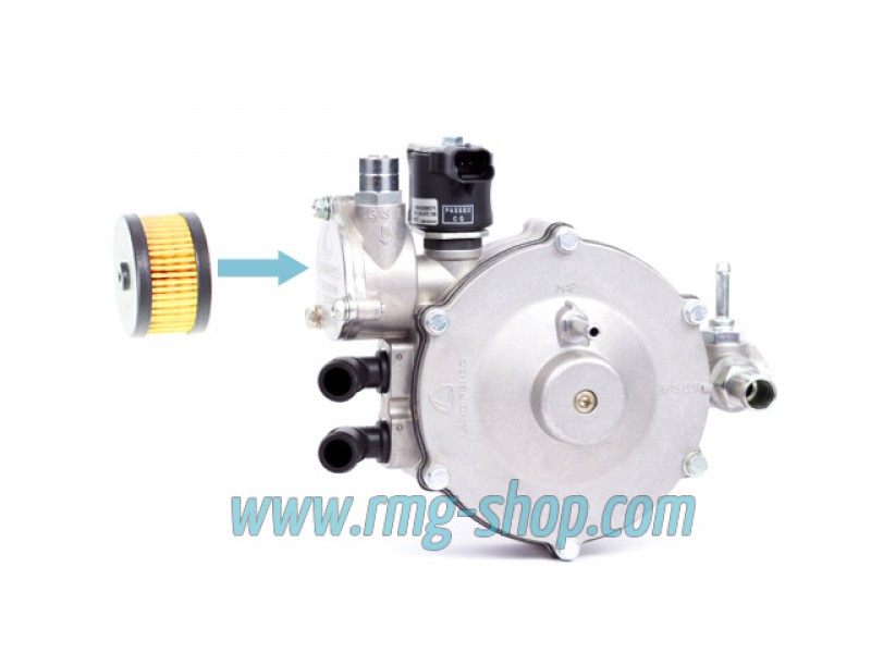 OVERHAULING KIT FOR LANDI RENZO -  LI10 REDUCER