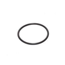 LANDI RENZO SOLENOID FILTER O-RING