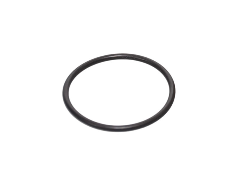 LANDI RENZO SOLENOID FILTER O-RING