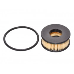 OVERHAULING KIT FOR LANDI RENZO