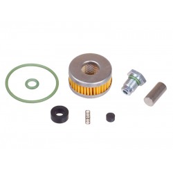 OVERHAULING KIT FOR LOVATO (GENUINE)