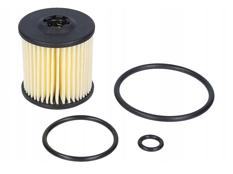 OVERHAULING KIT FOR TARTARINI E08G 