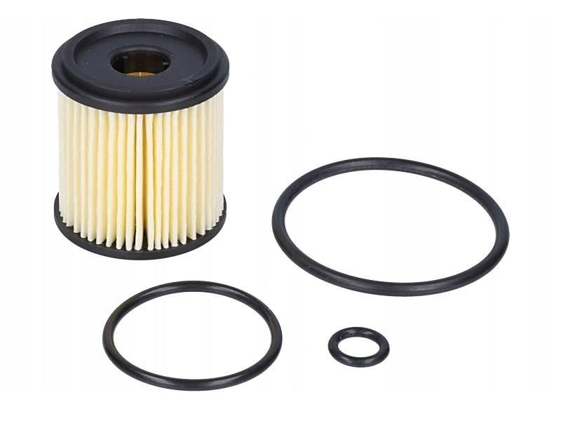 OVERHAULING KIT FOR TARTARINI E08G 