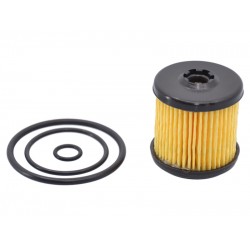 OVERHAULING KIT FOR TARTARINI E08G - GENUINE