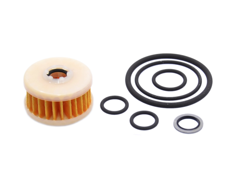 OVERHAULING KIT FOR VALTEK, PRINS, ZAVOLI, EMMA GAS, OMVL, MILANO (GENUINE)