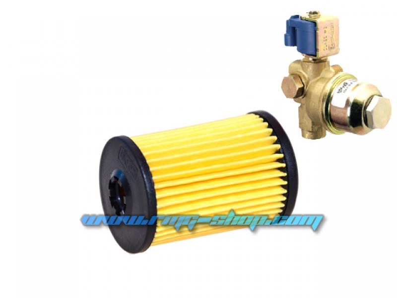 VALTEK, DREAM OMVL, ELPIGAZ LPG FILTER