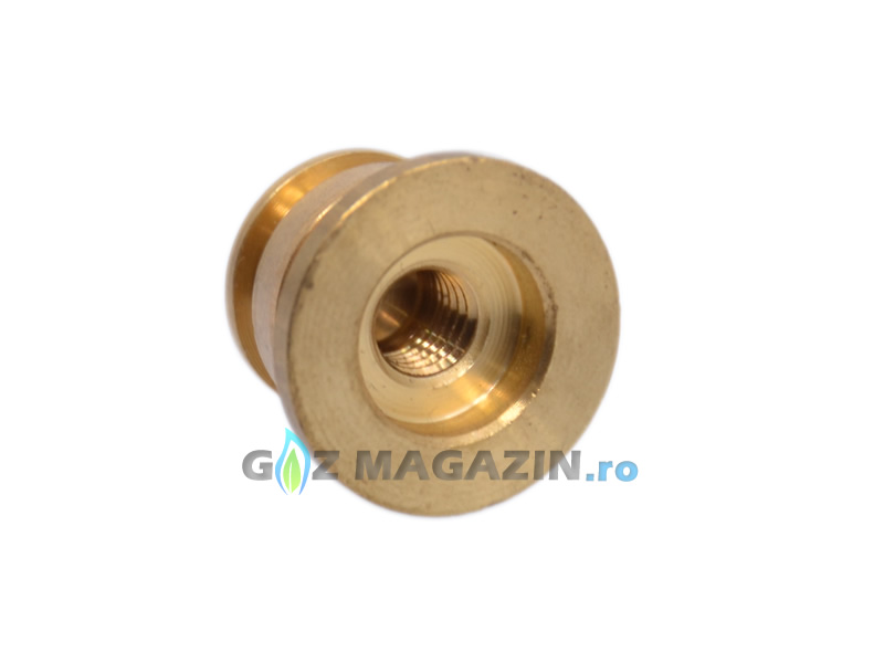 AC W02 RAIL M12 BRASS PLUG