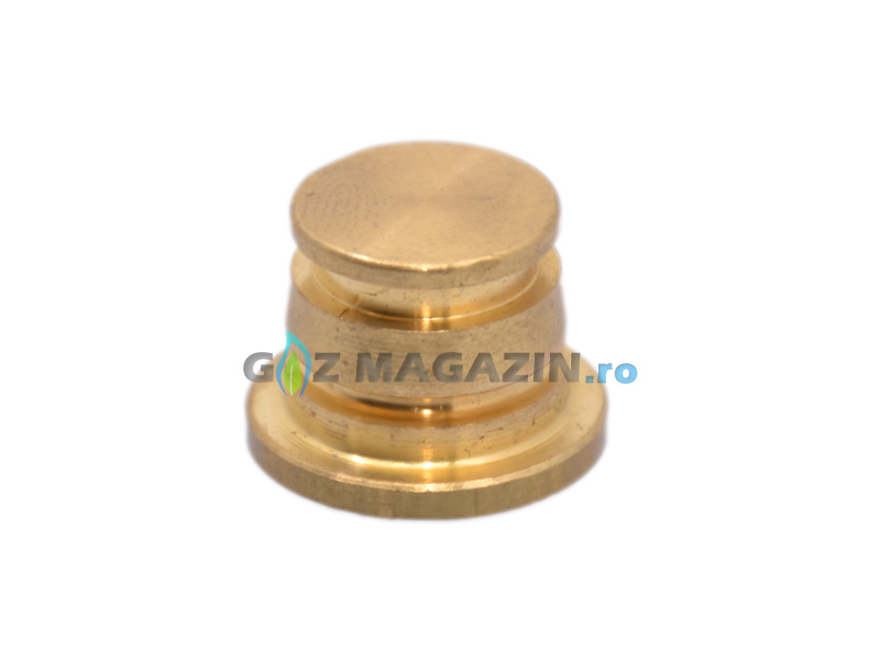 AC W02 RAIL M12 BRASS PLUG