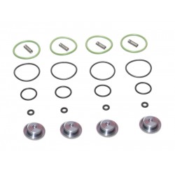 AEB I-PLUS INJECTOR REPAIR KIT