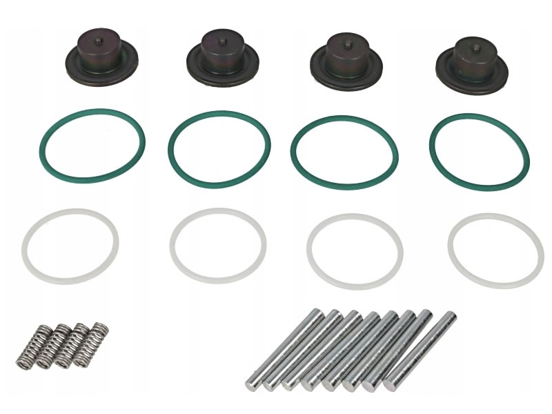 LANDI RENZO GIRS12 INJECTOR REPAIR KIT