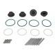 LANDI RENZO GIRS12 INJECTOR REPAIR KIT