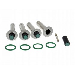 OMVL DREAM XXI-N (ALUMINIUM) INJECTOR REPAIR KIT
