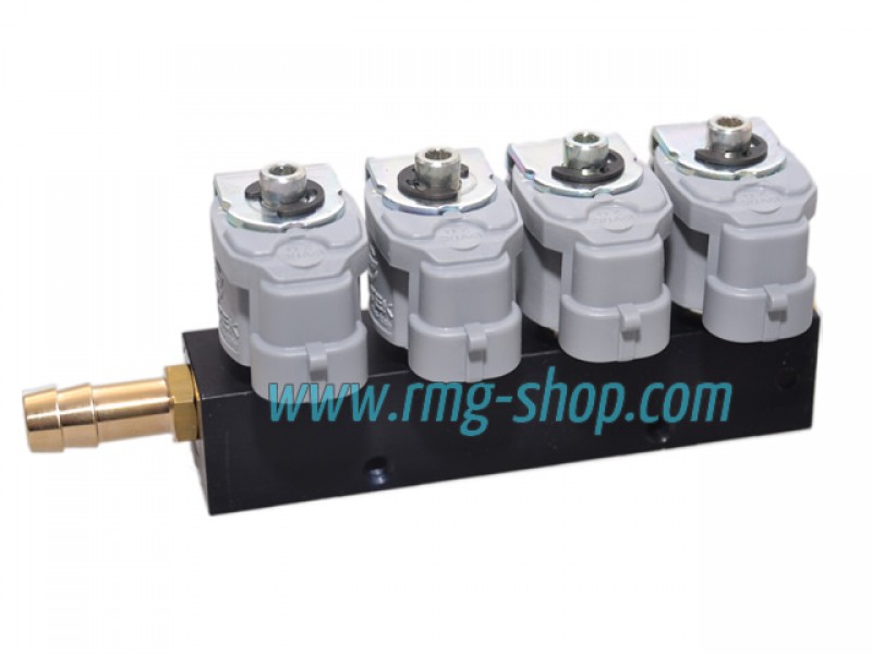 VALTEK TYPE 30 (2 OHMS) - 4 CYLINDER INJECTOR RAIL