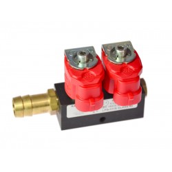 VALTEK TYPE 30 (3 OHMS) - 2 CYLINDER INJECTOR RAIL