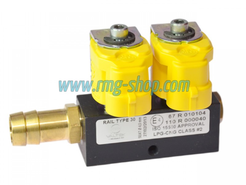 VALTEK TYPE 30 (1 OHM) - 2 CYLINDER INJECTOR RAIL