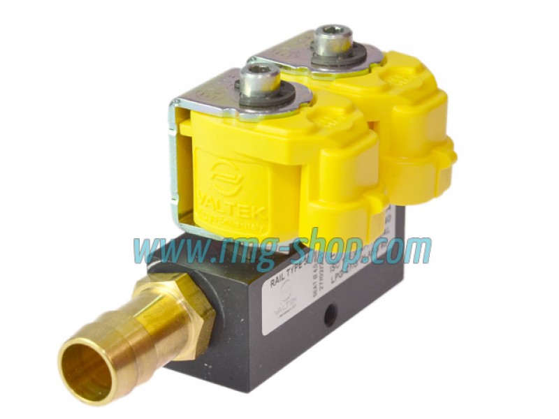 VALTEK TYPE 30 (1 OHM) - 2 CYLINDER INJECTOR RAIL