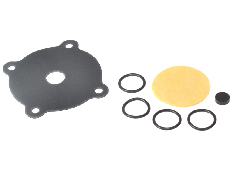 AUTOGAS ITALIA EASYJET MEMBRANE REPAIR KIT 