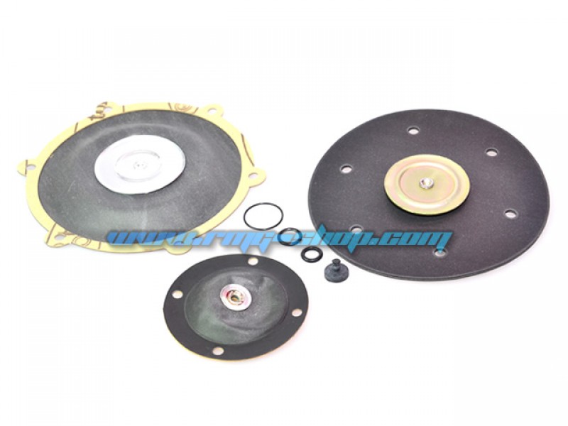 ALDESA MEMBRANE REPAIR KIT