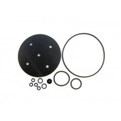BIGAS RI21 MEMBRANE REPAIR KIT 