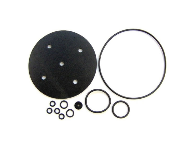 BIGAS RI21 MEMBRANE REPAIR KIT 