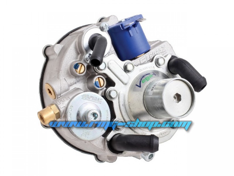 ELPIGAZ VEGA MEMBRANE REPAIR KIT 