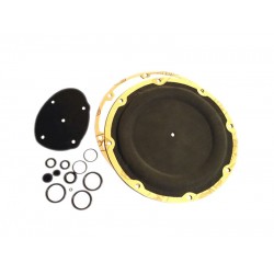 LANDI RENZO SE81 MEMBRANE REPAIR KIT