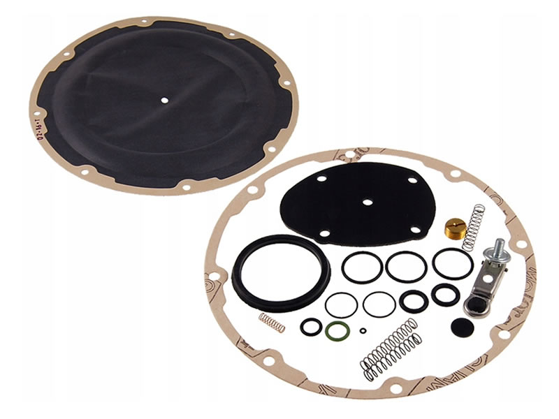 LANDI RENZO SE81 MEMBRANE REPAIR KIT (GENUINE)