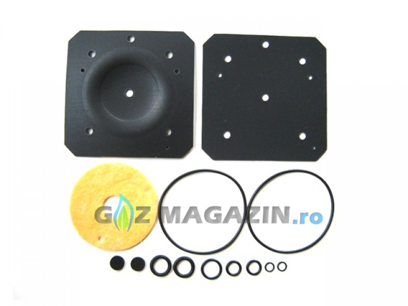 LANDI RENZO IG1 MEMBRANE REPAIR KIT