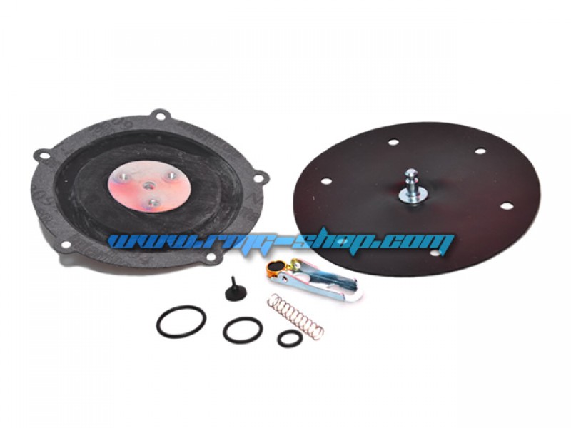 LANDI RENZO EC04 MEMBRANE REPAIR KIT (GENUINE)